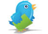 birds sur les homophones